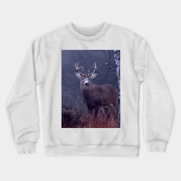 White-tailed buck in Autumn rut Crewneck Sweatshirt by Jim Cumming